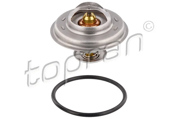 Thermostat, coolant (100 159)