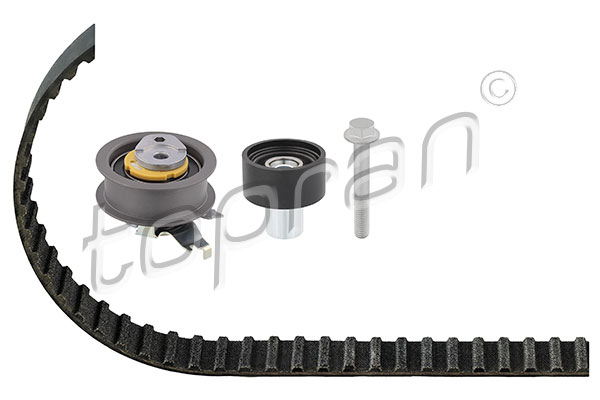 Timing Belt Kit (116 966)