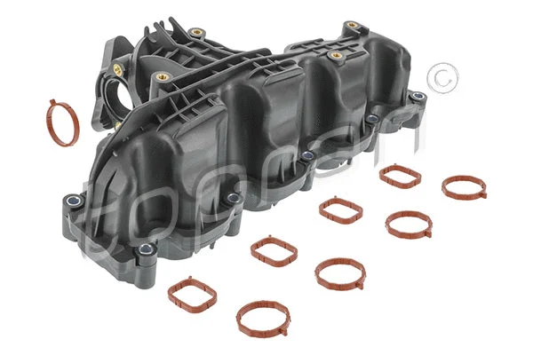 Intake Manifold Module (117 757)