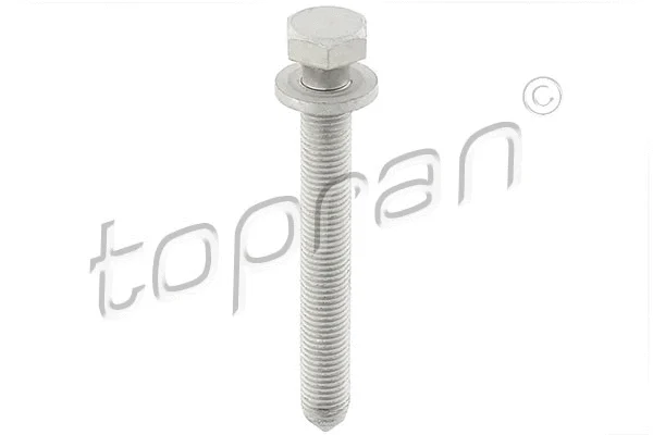 Screw (116 950)