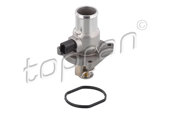 Thermostat, coolant (207 932)