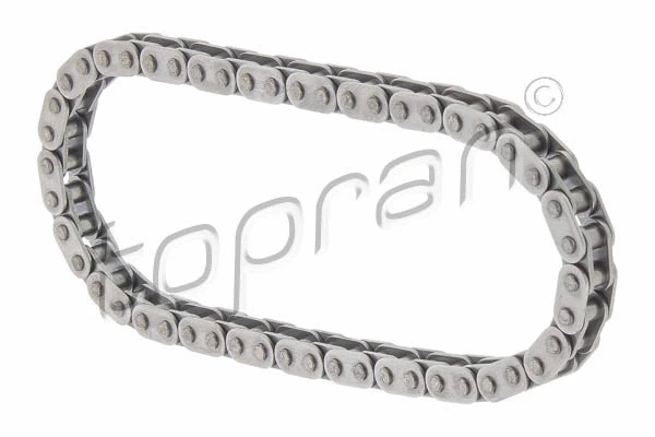 Timing Chain (117 527)