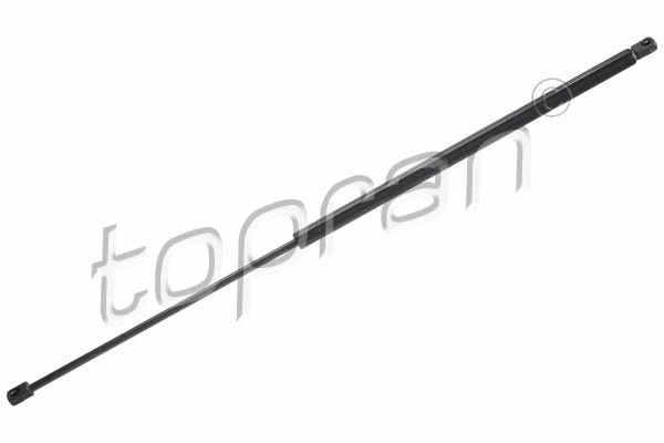 Gas Spring, boot/cargo area (600 195)
