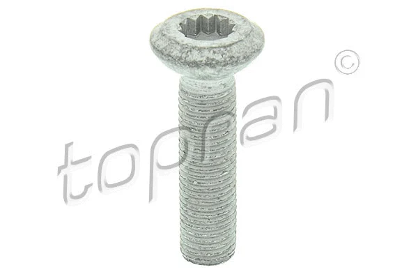 Screw (116 274)