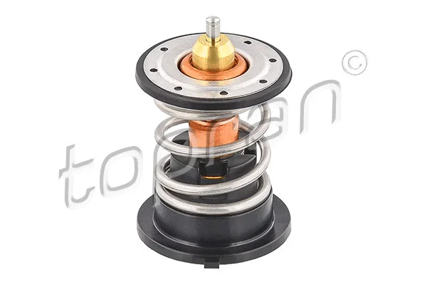 Thermostat, coolant (502 662)