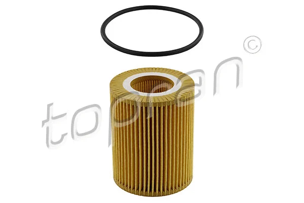 Oil Filter (600 053)