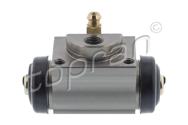 Wheel Brake Cylinder (302 013)