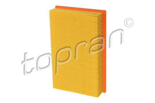 Air Filter (301 659)
