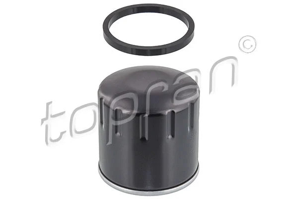 Oil Filter (701 205)