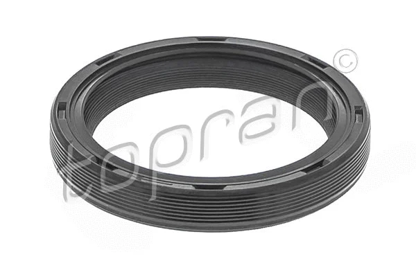Shaft Seal, camshaft (115 436)