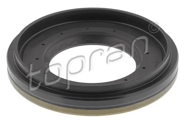 Shaft Seal, differential (408 190)