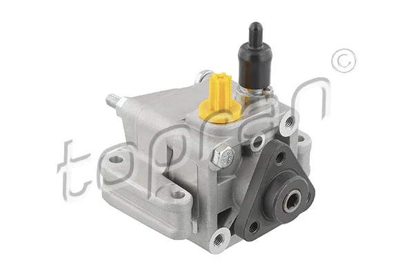 Hydraulic Pump, steering (502 416)
