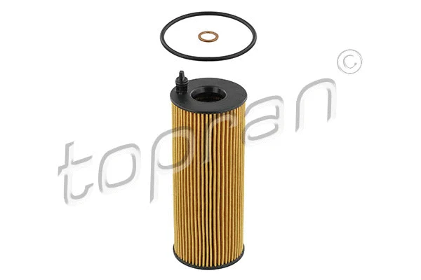 Oil Filter (501 662)