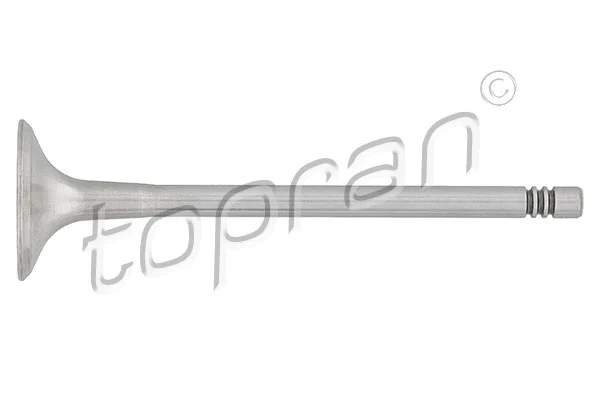Exhaust Valve (107 132)