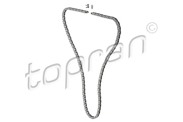 Timing Chain (408 470)