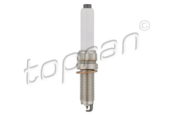 Spark Plug (629 901)
