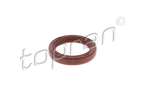 Shaft Seal, camshaft (205 587)