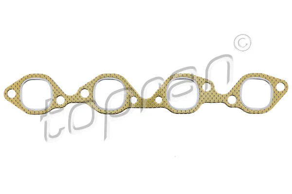 Gasket, exhaust manifold (206 186)