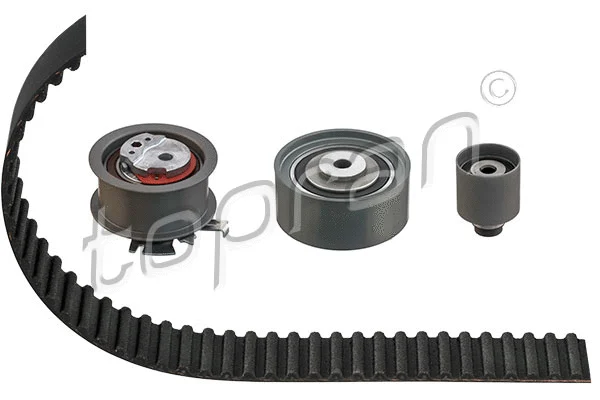 Timing Belt Kit (114 316)