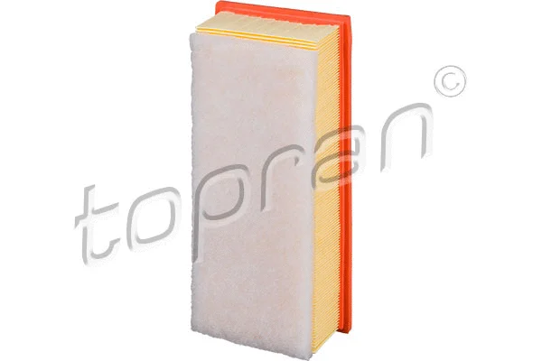 Air Filter (723 218)