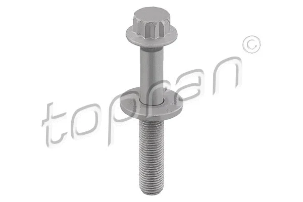 Pulley Bolt (117 607)