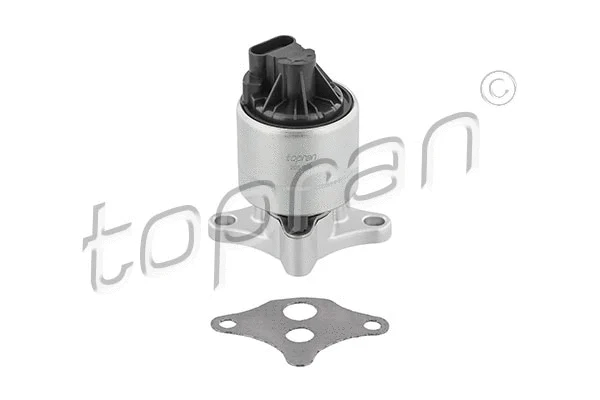 EGR Valve (205 869)