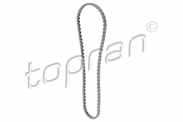 Timing Chain (117 290)