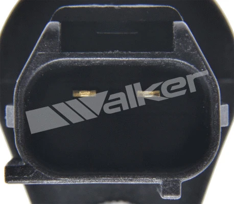 Sensor, camshaft position