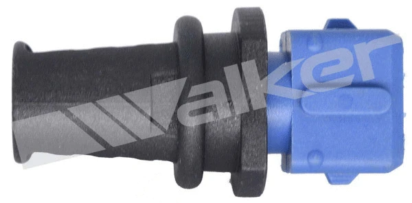 Sensor, intake air temperature