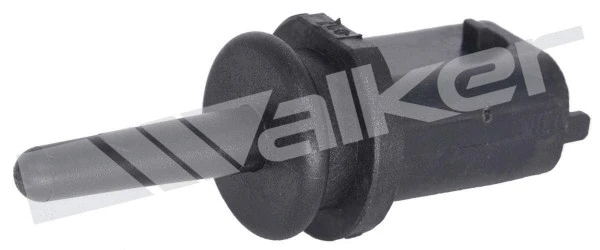 Sensor, intake air temperature