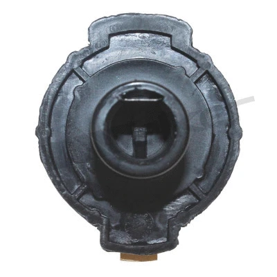 Rotor, distributor