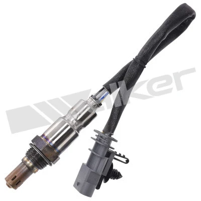 Lambda Sensor (800-95040)