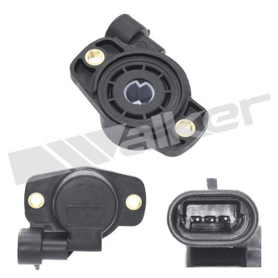 Sensor, throttle position