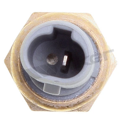 Sensor, coolant temperature