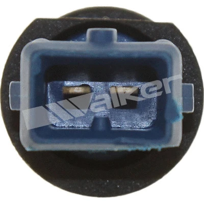 Sensor, intake air temperature