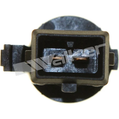 Sensor, intake air temperature