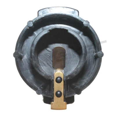 Rotor, distributor