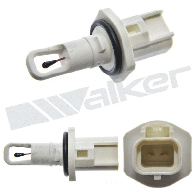 Sensor, intake air temperature