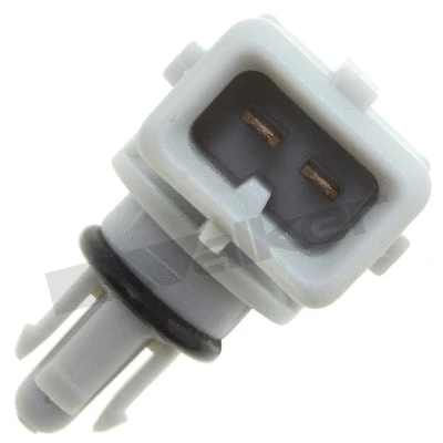 Sensor, intake air temperature