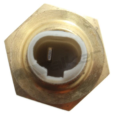 Sensor, coolant temperature