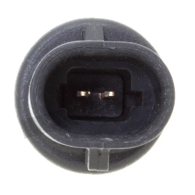 Sensor, intake air temperature