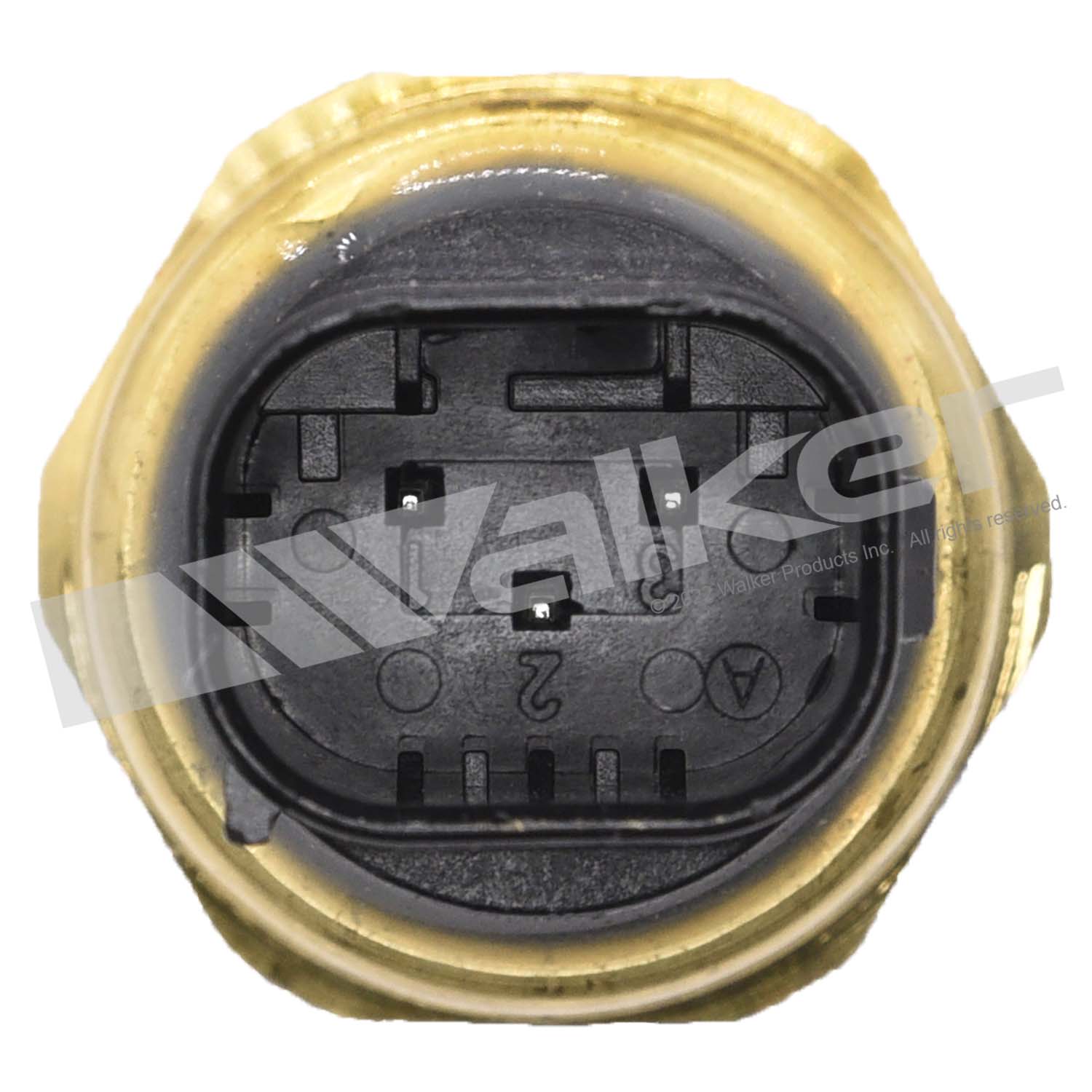 Sensor, fuel pressure