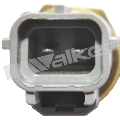 Sensor, oil temperature