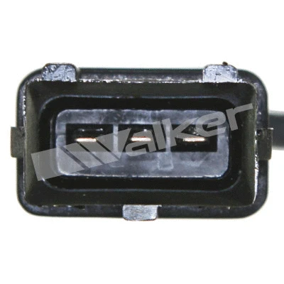 Sensor, camshaft position