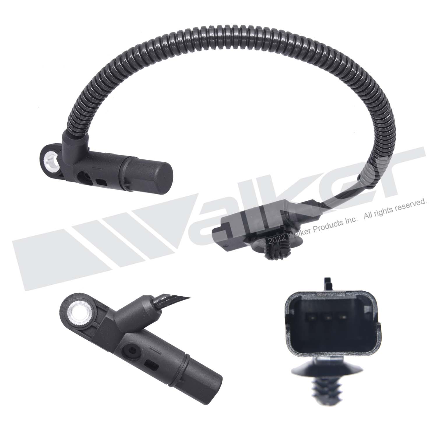 Sensor, camshaft position