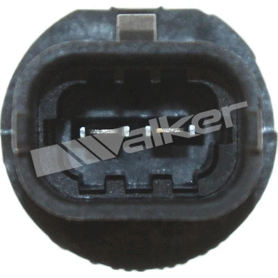 Sensor, intake air temperature