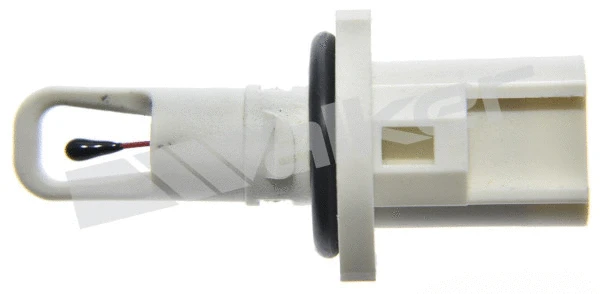 Sensor, intake air temperature
