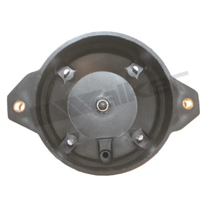 Distributor Cap