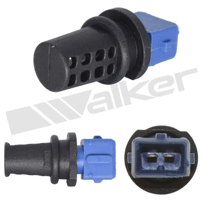 Sensor, intake air temperature