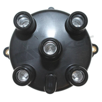 Distributor Cap